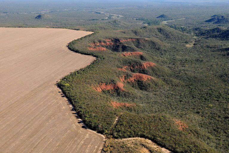 Desmatamento na Amazônia tem queda recorde de 61,4% em maio, aponta Inpe