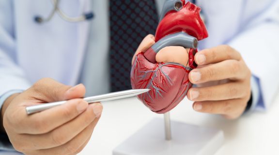 Cerca de 30 mil crianças nascem com cardiopatia congênita por ano no Brasil