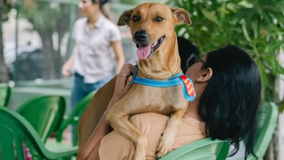 Messejana recebe terceira edição da Parada Pet com serviços gratuitos