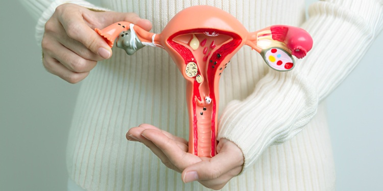 Menopausa precoce exige atenção; entenda os sinais