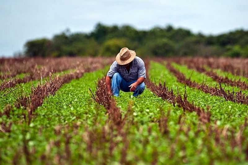 Governo publica medida para renegociar dívidas rurais