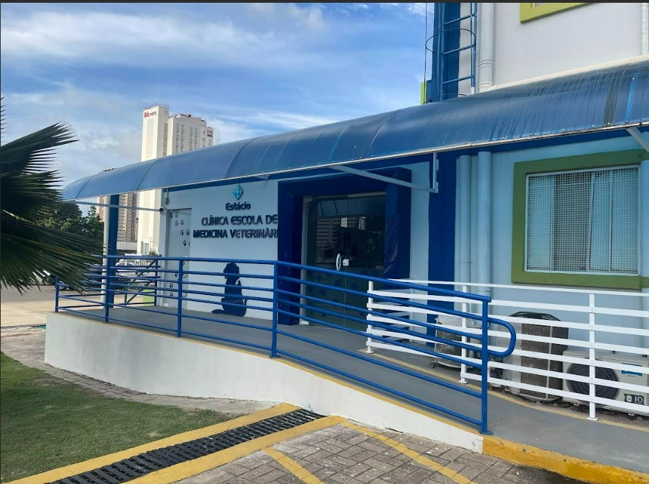 Clínica veterinária oferece atendimento gratuito para cães e gatos em Fortaleza