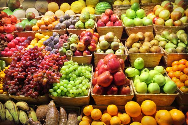 Sisal, castanha e melão: veja culturas em que o Nordeste domina produção
