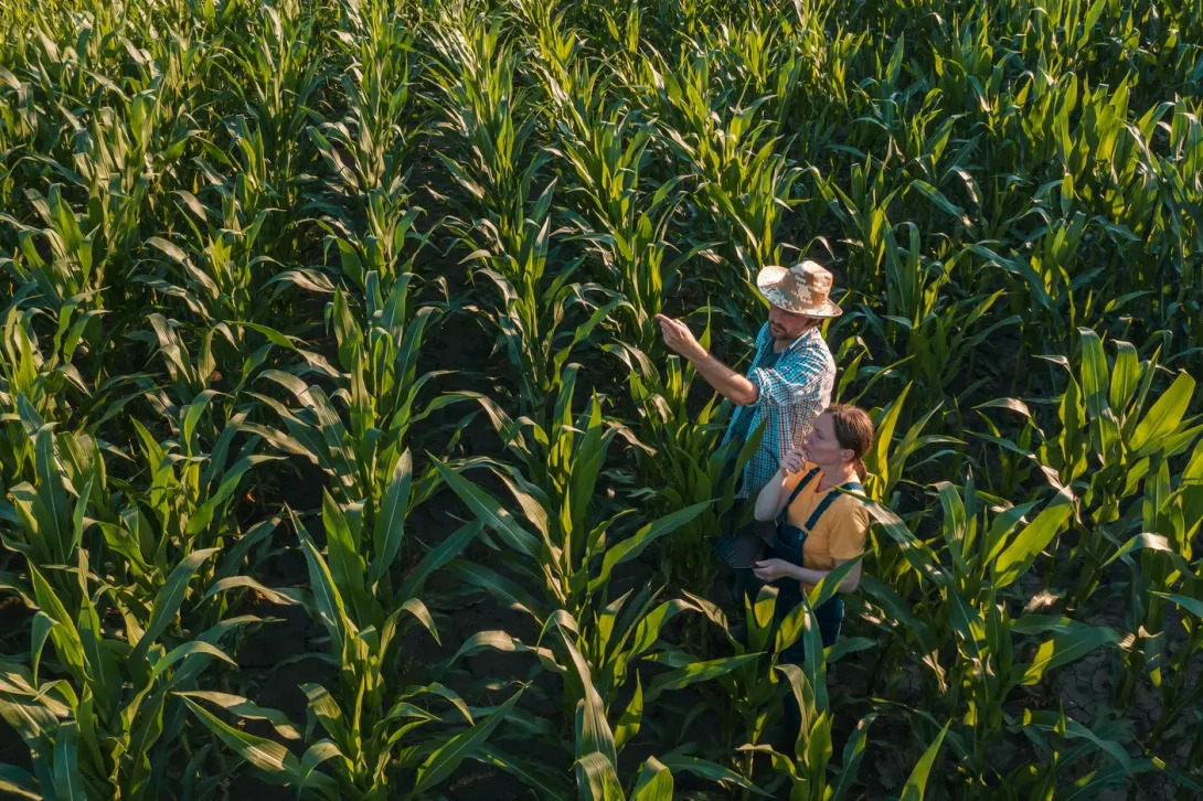 Produtores do Nordeste podem ser beneficiados por novas regras do seguro rural