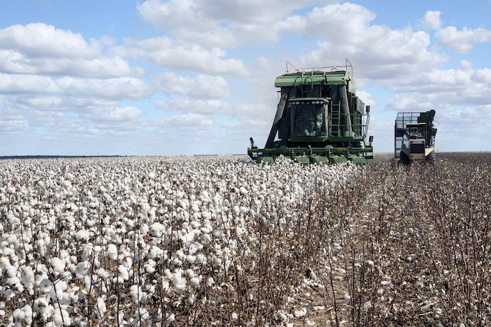 Agricultura brasileira alcança maior valor de produção desde 1994 