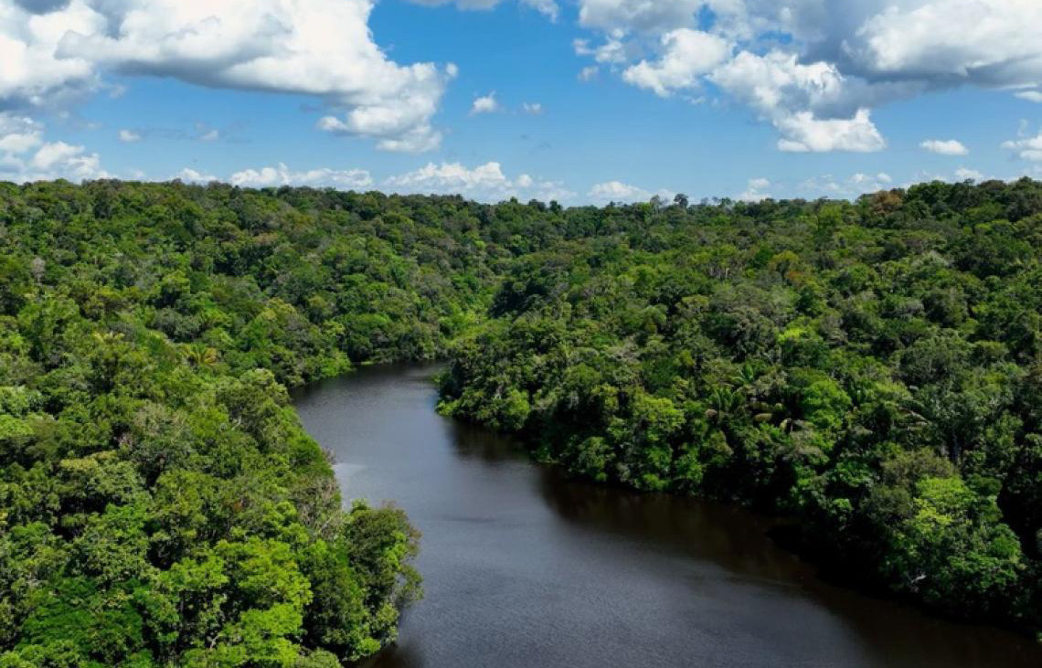 Quase 70% do novo Congresso tem baixo alinhamento com agenda ambiental