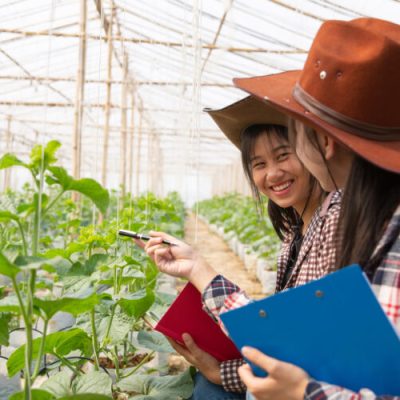 Sebrae oferece bolsas de até R$ 6,5 mil em projeto de inovação rural