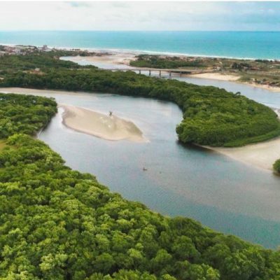 Estado do Ceará cria comitê para Combate a Crimes Ambientais